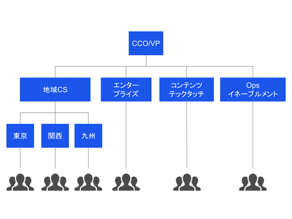 cs-organization-2